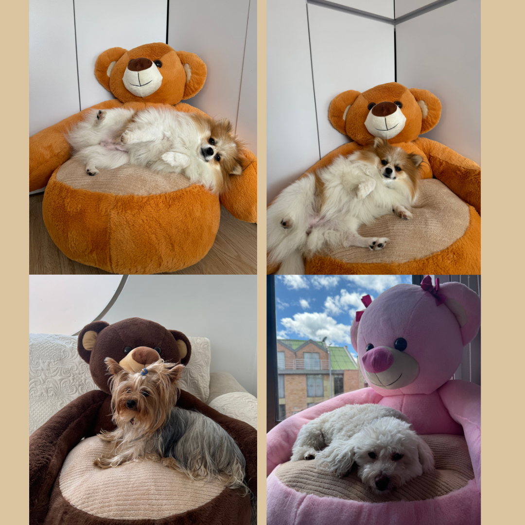 Cama Para Mascotas Pequeñas Tipo Oso